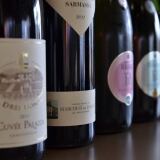 Dsc X dsc7948-1024x678