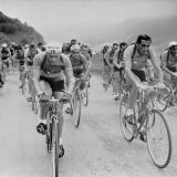 43-nello-lauredi-fausto-coppi-and-bernardo-ruiz-tour-de-france-14th-stage-tarbes-luchon-1951-grande