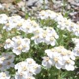 20150711-120314-1024x576