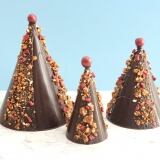 charlotte-dusart-sapins-1