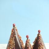 charlotte-dusart-sapins