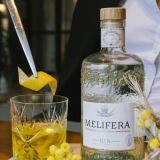 Yellow Negroni Oleron 8-yellow-negroni-oleron