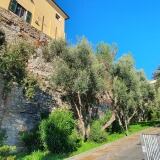 sestriere-del-molo-71