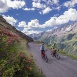 mauromariotti-ric17342018