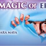 the-magic-of-erix-logan-locandina