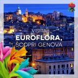 28055893-152051325508992-3994803944130645141-n