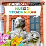 29543185-162535244460600-3397427344173880747-n