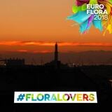 29570385-162618734452251-4651097460964112630-n