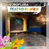 29571202-162535551127236-5108881983946322837-n