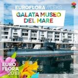 29571398-162535751127216-5350821668211459302-n