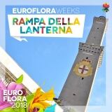 29572959-162534941127297-4279977364852206700-n