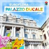 29573005-162535497793908-2539329469999121558-n