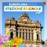 29573151-162535891127202-3177438510070463593-n