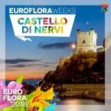 29594391-162535444460580-4755601842010170124-n