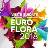 29595361-162534917793966-5611655782874409605-n