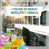 29595381-162535181127273-4727676009692971981-n