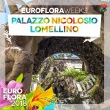 29597691-162535981127193-7947072513880076502-n