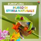 29695419-162534857793972-8508985296208877552-n