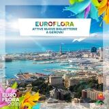 30221593-164308070949984-5491694649654216025-n