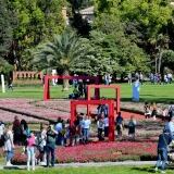 Euroflorasabato Di euroflorasabato-22-di-62