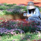 Pubblico G pubblico-g-21-19