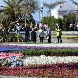 Pubblico G pubblico-g-21-34