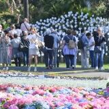 Pubblico G pubblico-g-21-8