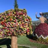 Ballerine Jota Murcia ballerine-jota-murcia