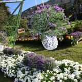 Euroflora Di euroflora-4-di-51