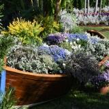 Euroflora Di euroflora-40-di-51