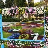 Euroflora Di euroflora-41-di-51