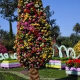 Euroflora Di euroflora2-6-di-12