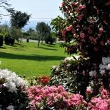 Euroflora euroflora3-14