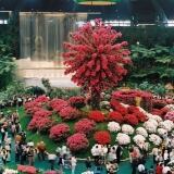 euroflora-2001-bis