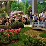 euroflora-2011-5-e1523107280812