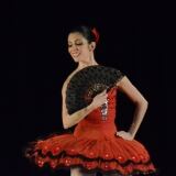 Dsc X dsc-8874-1024x683