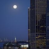 luna-new-york