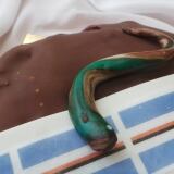 X 20141224-124645-1024x576