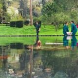 Fb Img fb-img-1523620178402