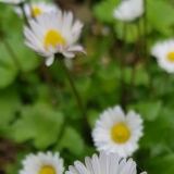 Img Wa img-20180412-wa0001