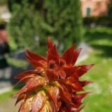 Img Wa img-20180412-wa0002