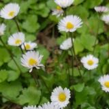 Img Wa img-20180412-wa0004