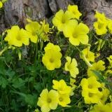 Img Wa img-20180412-wa0005