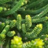 Img Wa img-20180412-wa0006