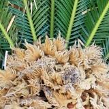 Img Wa img-20180412-wa0008