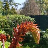 Img Wa img-20180412-wa0010