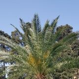 Img Wa img-20180412-wa0013