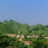 1000px-vitigni-andreola-foto-francesca-gregori