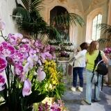 Liguria Orchidee Cappella Gentilizia liguria-orchidee-cappella-gentilizia-3