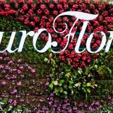 Scritta Eurofora scritta-eurofora-1